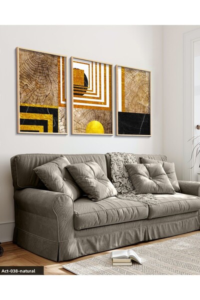 Evinemoda Abstract Artistic Pattern 3 Piece Painting with Wooden Frame Act