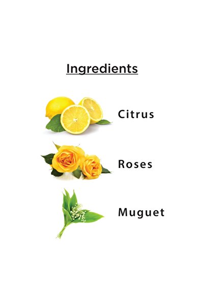 ENCHANTEUR Charming Perfumed Soap Value Pack – 3 x 125g, Long-Lasting Fragrance