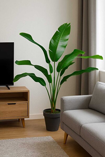 MAKİ DEKOR YAPAY STARLİÇE 125 CM 7 ISLAK DOKULU YAPRAKLI DEKORATİF İÇ MEKAN AĞACI