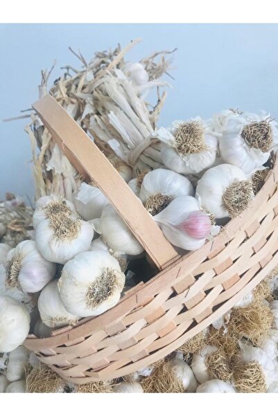 Edovital Coğrafi Işaretli Taşköprü Sarımsağı Kg (2025 HASAT)