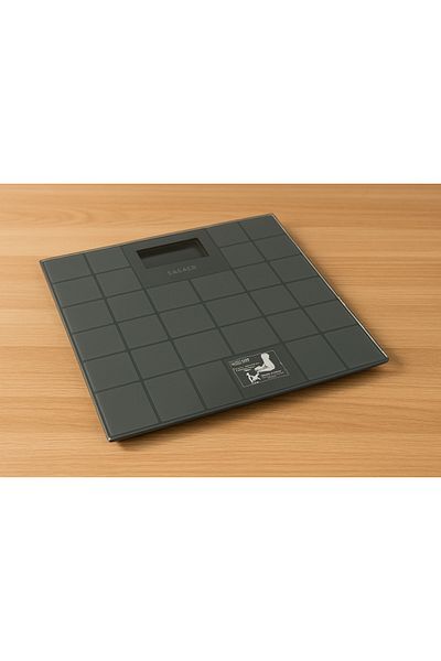 CAMRY electronic body scale