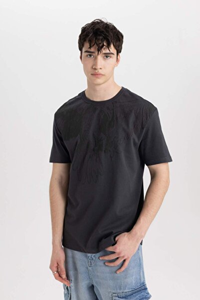 DeFacto Bedrucktes Kurzarm-T-Shirt mit normaler Passform und Rundhalsausschnitt B8485AX24SM