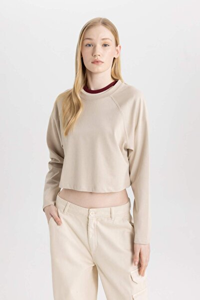 DeFacto Cool Loose Fit Crew Neck Basic μακρυμάνικο μπλουζάκι C4401AX24SP