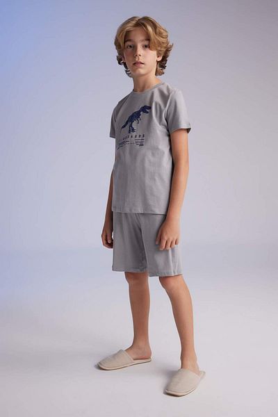 DeFacto Boys' Pajamas Set Dinosaur Printed Short Sleeve Top Shorts C0840A824Sp