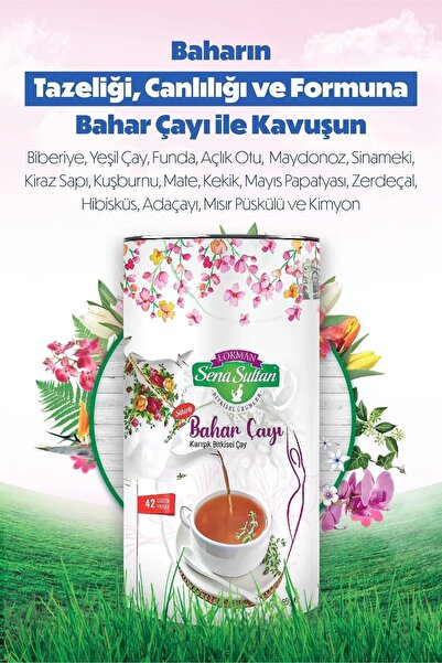 Lokman Sena Sultan Bahar Çayı Karışık Bitkisel Form Çayı 42 Süzen Poşet 65 Gr