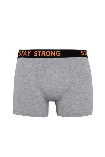 DeFacto Regular Fit 3-Pack Boxer B7887Ax24Sm