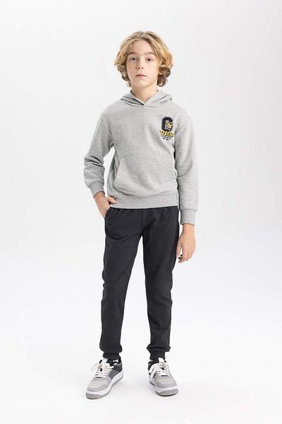 DeFacto Boy's Printed Hooded Thick Sweatshirt B9012A823Cw