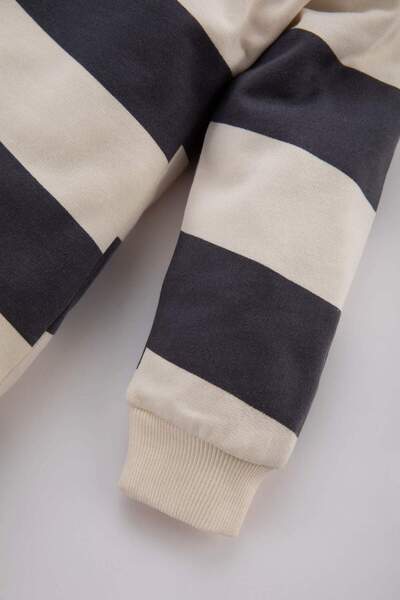 DeFacto Baby Girl Polo Neck Striped Long Sleeve Dress B9588A523Wn