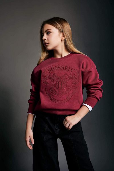 DeFacto Girls' Harry Potter Crew Neck Soft Furry Thick Sweatshirt B0423A823Wn