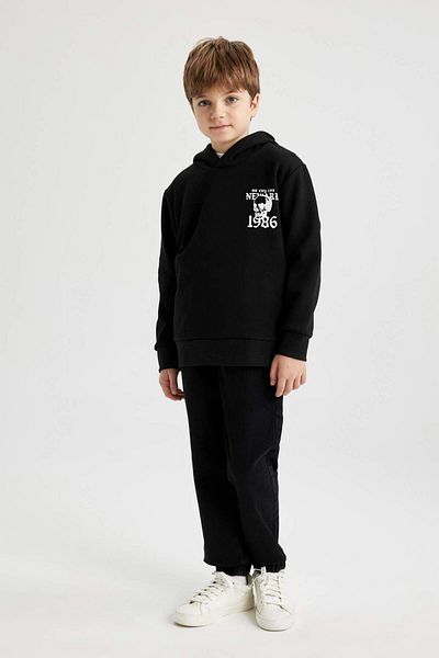 DeFacto Boy's Hooded Printed Thick Sweatshirt B5863A823Cw