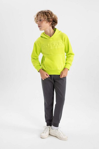 DeFacto Boy's Hooded Fleece Sweatshirt B2974A823Wn