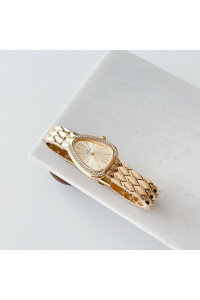 Bluemix Aksesuar Serenay Model Steel Women's Watch(Gifted Product)