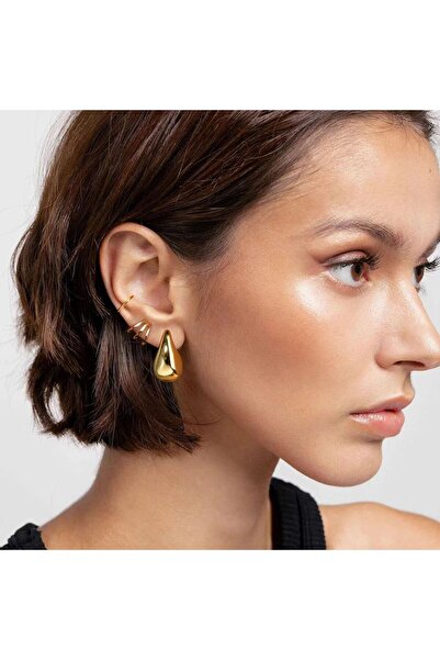 Chavin Steel Drop Design Gold Women's Earrings Eu05Sr