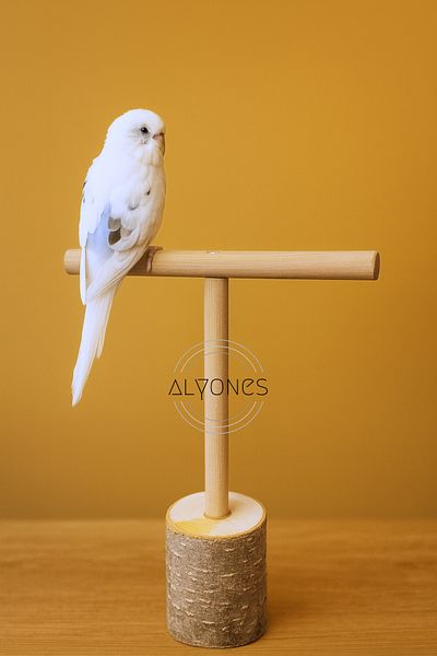 Alyones جثم الطيور