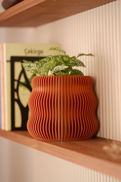 Alwen VENÜS | Tasarım Saksı | Sukulent & Kaktüs Saksısı | Dekoratif Hediyelik...