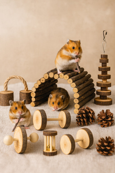 Alyones 8'li Doğal Ahşap Kemirgen Oyuncak Seti - Elma Ağacı, Çıngıraklı Rulo, Köprü ve Daha Fazlası