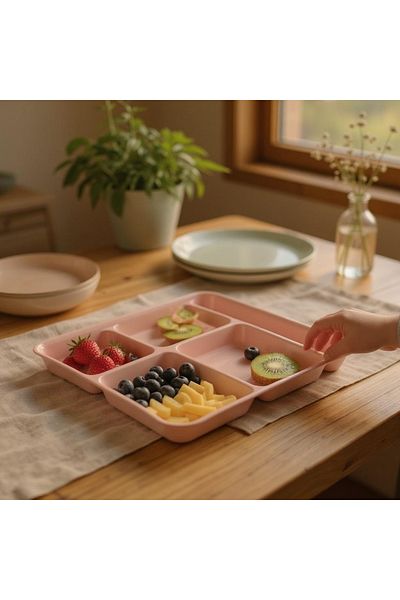HOLLYHOME Table D'hôte 5-Compartment Luxury Plastic Picnic Food Service - 1 Table Powder, 21x31x3.5 cm