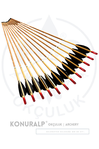 KONURALP OKÇULUK Geleneksel Boyalı Ahşap Ok (Siyah Tüylü - Altın Yaldız Boyalı)