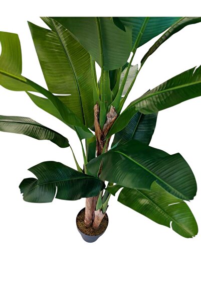 MAKİ DEKOR YAPAY MUZ ISLAK DOKULU 3 GÖVDELİ 18 YAPRAKLI 200 CM MODERN , DEKORATİF SALON AĞACI