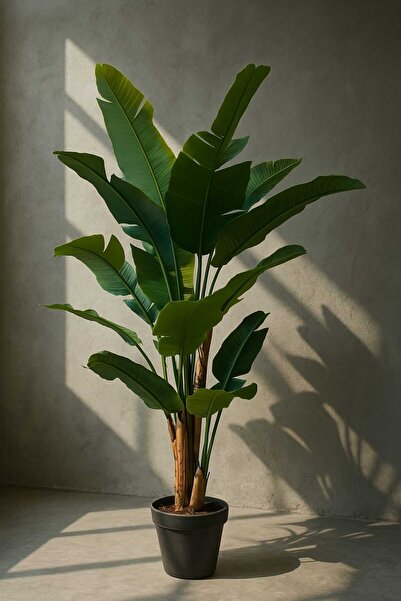 MAKİ DEKOR YAPAY MUZ ISLAK DOKULU 3 GÖVDELİ 18 YAPRAKLI 200 CM MODERN , DEKORATİF SALON AĞACI