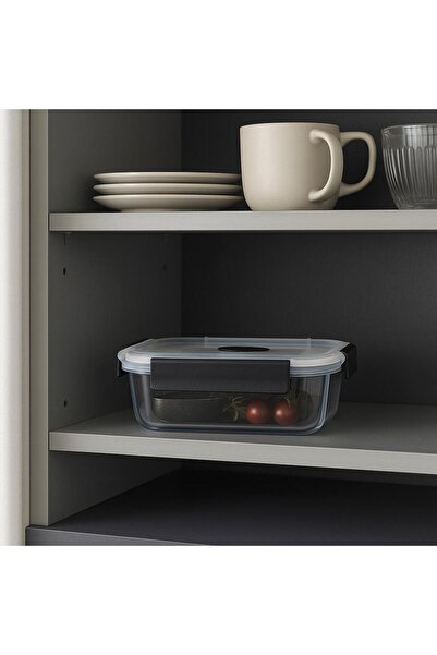 Noah 650 ml (17 cm X 12 cm) Glass Storage Container - Borosilicate Heat Resistant - with Plastic Leak Proof Lid