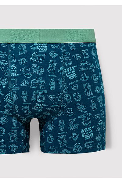 Mavi Search Area by Printed Boxer Models: 091119 -71923