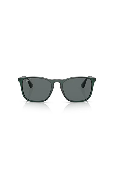 Ray-Ban RB 4187666381 54 Unisex Sunglasses
