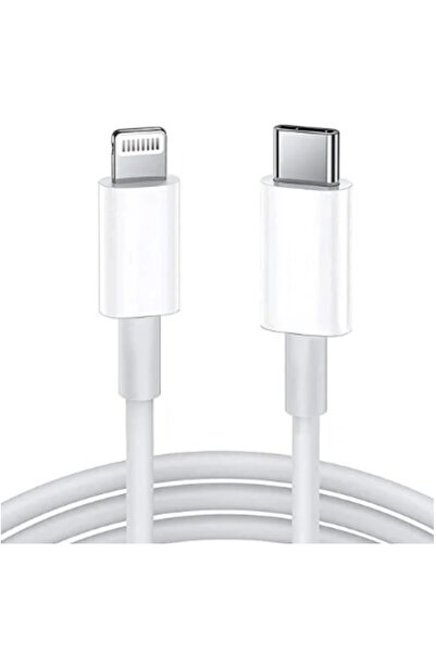 SP PD Type-C iPhone Fast Charging Cable, 1 Meter Long