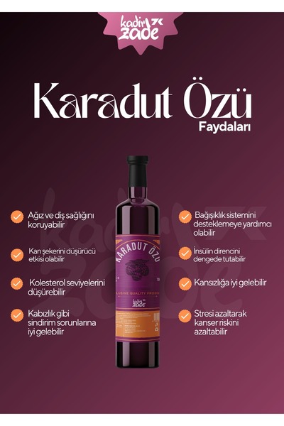 KADİRZADE Premium Karadut Özü 700gr