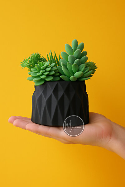 Minima Art Studio Siyah Geometrik Formlu Sükulent Saksısı –Sukulent Dekor Sak...