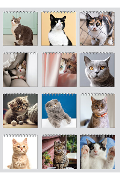 NATURELBASIM 2026 KEDİ MASA TAKVİMİ