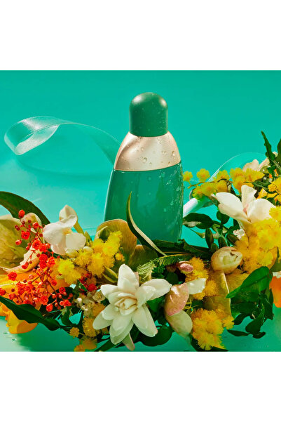 Cacharel Parfum femei 122450 Edt 30 ml