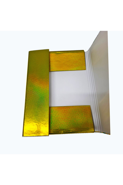 Generic Shiny rose gold paper holder