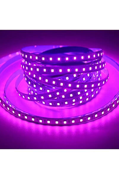 Genel Markalar Mor 120 Ledli 5 Metre Şerit Işık, 12V, 60W, parlak ve enerji t...
