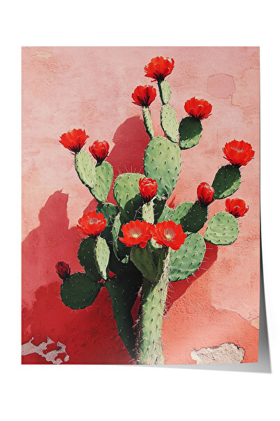 Zestia Poster fără ramă, ilustrație cu cactus cu flori roșii, poster decorati...