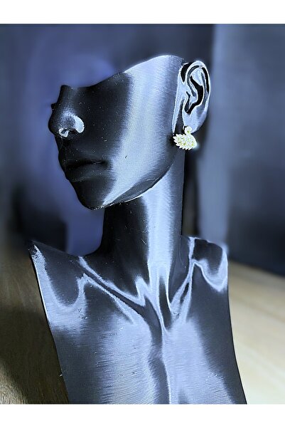 ZEY TAKI VE AKSESUAR PASLANMAZ ÇELİK , KUĞU FİGÜRLÜ KÜPE