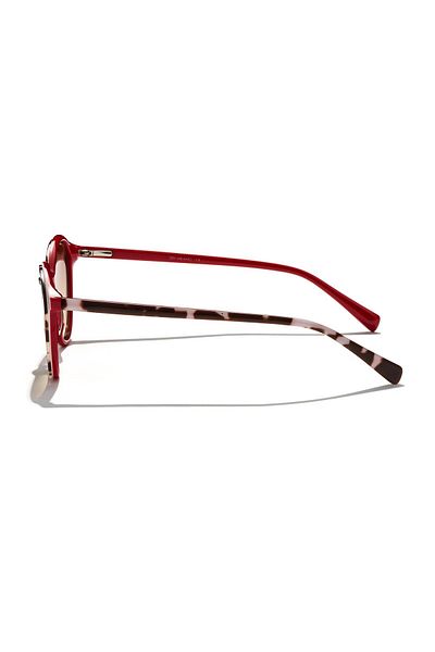 Zen Milano Eyewear Yhp8106-C3 50 Unisex Sunglasses