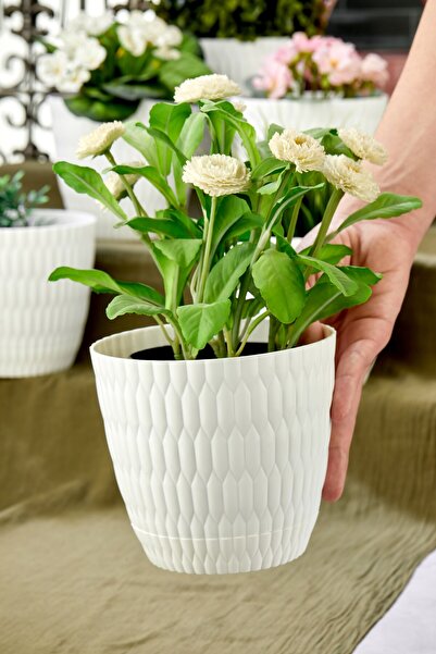 Pazarika Dekoratif 3 No Desenli Saksı 1 Adet Çiçek Saksısı