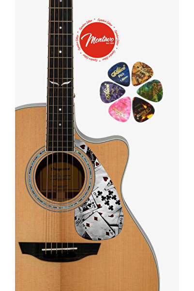 6'lı Gitar Penası + Pena Korumalığı Set