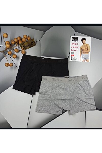 boxer