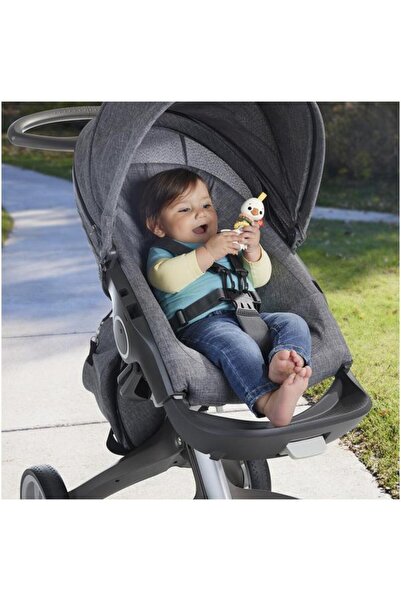 FISHER PRICE Fisher-Price Rattle Goose