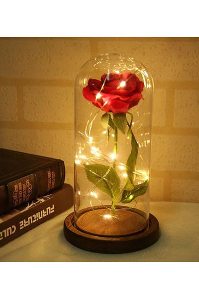 Leexo Artificial Valentine's Day Red Rose, glass dome Dome with LED strip