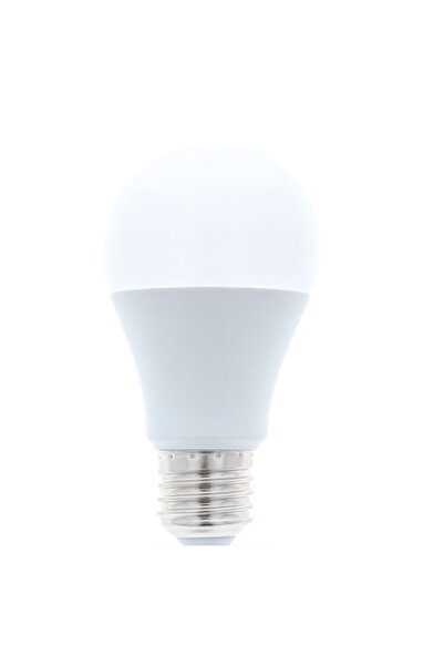 OEM LED Bulb E27 G45 6W 230V 6000K 480lm, Cool White, White