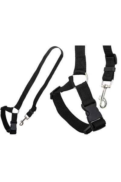 OEM Dog/cat seat belts with car leash
