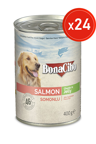BonaCibo Jöleli Somonlu Yaş Köpek Maması, 400 Gr x 24 Adet, Tüm Irklar İçin, ...