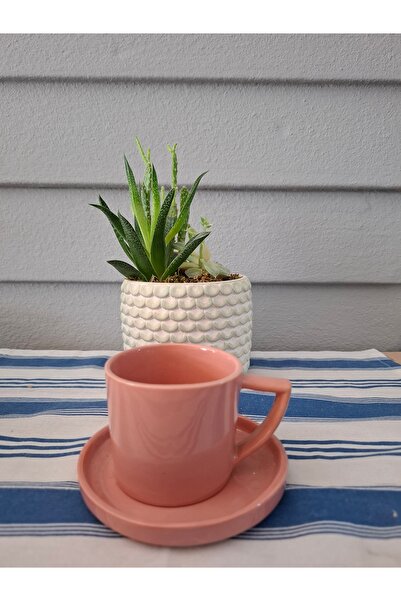 Home Kitchen Coffee Cup