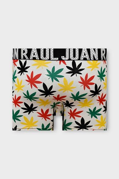 Juan Raul Multicolored Leaf Patterned Men's Boxers - Db260