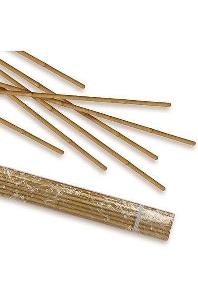 Egardenkart Bamboo Sticks for Plants - 90 Cm, 10 Pcs