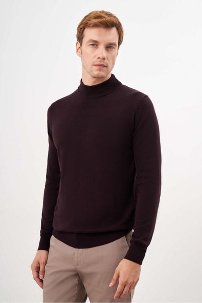 Morven Men's Purple Basic Half Turtleneck Dynamic Fit Comfortable Cut Knitwear