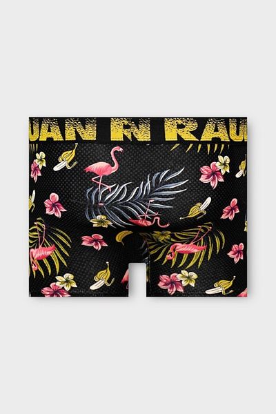 Juan Raul Tropical Flamingo Pattern Boxer - Db258